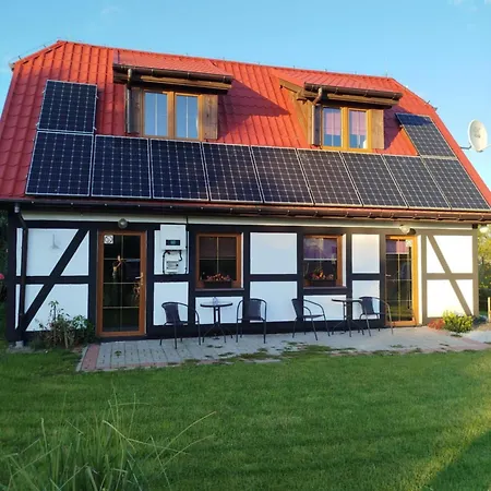 Mały Biały Jeżyczki Darłowo