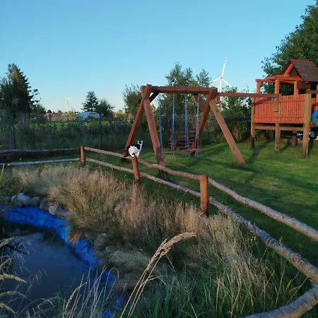 Mały Biały Jeżyczki * Darłowo