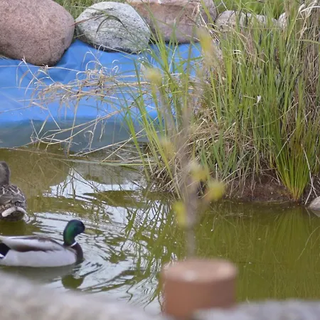 Mały Biały Jeżyczki Apartament Darłowo