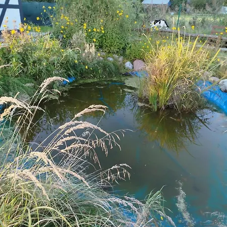 Mały Biały Jeżyczki * Darłowo