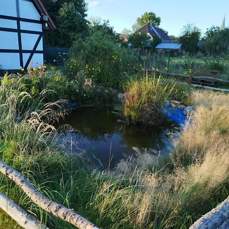 Mały Biały Jeżyczki Apartament