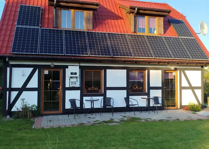 Maly Bialy Jezyczki Darłowo