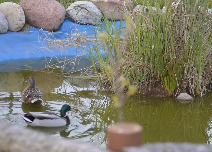 Maly Bialy Jezyczki Apartamento Darlowo