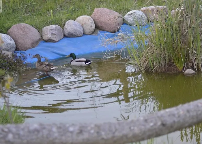 Apartamento Maly Bialy Jezyczki Darlowo